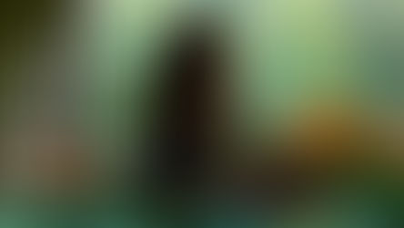 Noel distribui presentes para animais do Gramadozoo