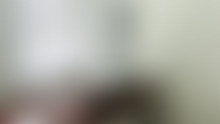 Boletim Informativo: Câmara Municipal de Gramado