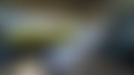 Turismo: Sirena Gramado anuncia parceria com grupo uruguaio Narbona em modelo inédito que inclui restaurante, cooperativa e condomínio rural