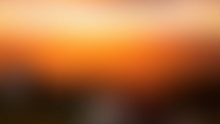 Ninho das Águias: Atrações para domingo, 19