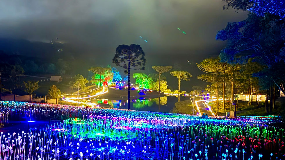 Lumni, Gramado. Foto: Tela Tomazeli