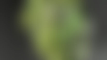 Gramado: 3ª Bienal Internacional de Arte em Vidro Ibero-Americano será em maio e junho