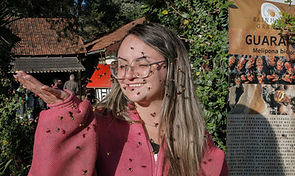 Exposição de abelhas sem ferrão é novidade na 34ª Festa da Colônia de Gramado