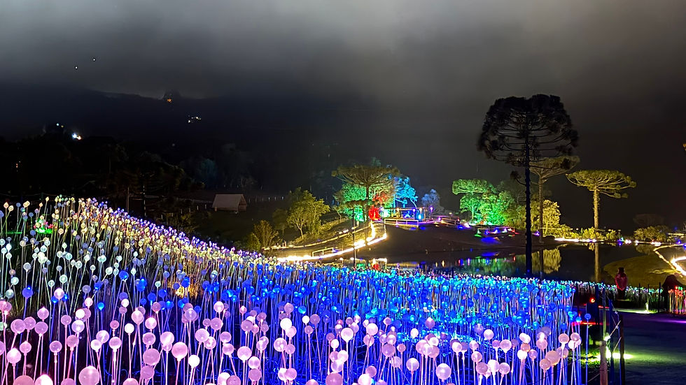 Parque Lumni. Foto: Tela Tomzeli