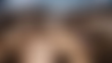 Own Club se revela em grande estilo na participação da Ownerinc no Paleta Atlântida 2026