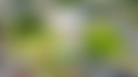 Turismo esportivo movimentou R$ 80 milhões em Gramado e envolveu cerca de 20 mil pessoas