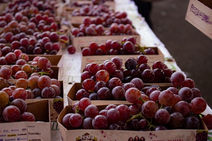 Divulgação Festa da Uva / Dinâmica Conteúdo Inteligente
