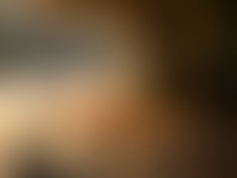 Mobilidade em debate: Câmara realiza Audiência Pública para discutir o "Caos dos Patinetes" e novas regras de segurança