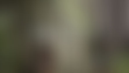 Esporte: 1º Pedal Feito em Gramado une esporte, natureza e solidariedade