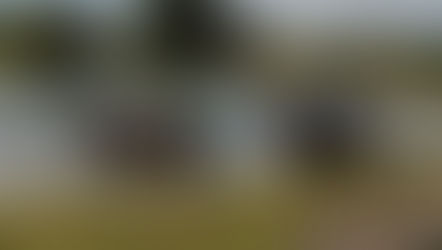 Lazer: Brocker Turismo apresenta imersão na cultura gaúcha com passeio a cavalo na Fazenda da Serra