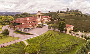 Miolo recebe prêmio de Melhor Produtor Brasileiro