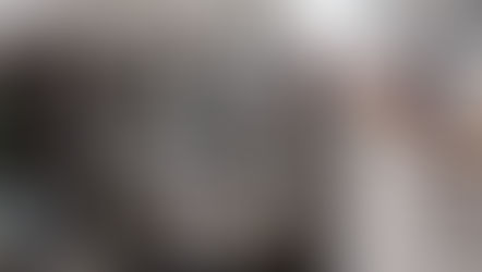 Treinamento simula resgate de acervos culturais em situações de emergência