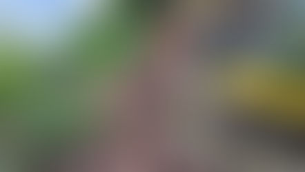 Estrada entre Gramado e Caxias do Sul pela Ponte do Raposo está bloqueada devido à queda de barreira