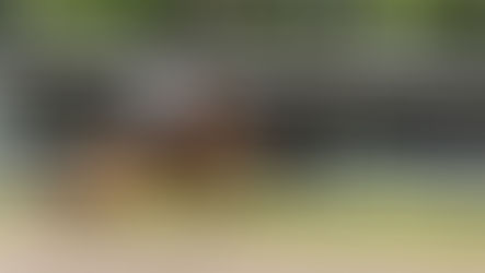 O 41º Rodeio Crioulo Nacional de Canela abre o Calendário do MTG 2026, na Serra Gaúcha