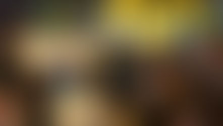 Programação Oficial: XII Gramado in Concert