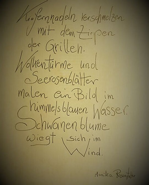 kieefern_und_wind.jpg