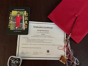 Good Dog! Luna Hangs Up His Vest: A Journey of Love, Growth, and Service