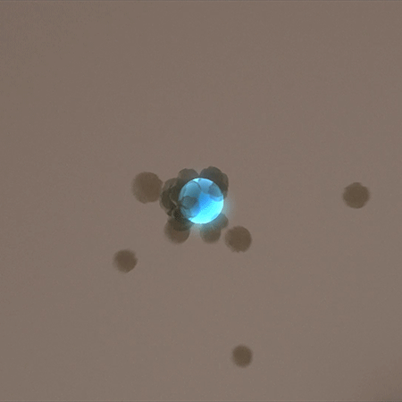 ionization_1200x_1200x.gif