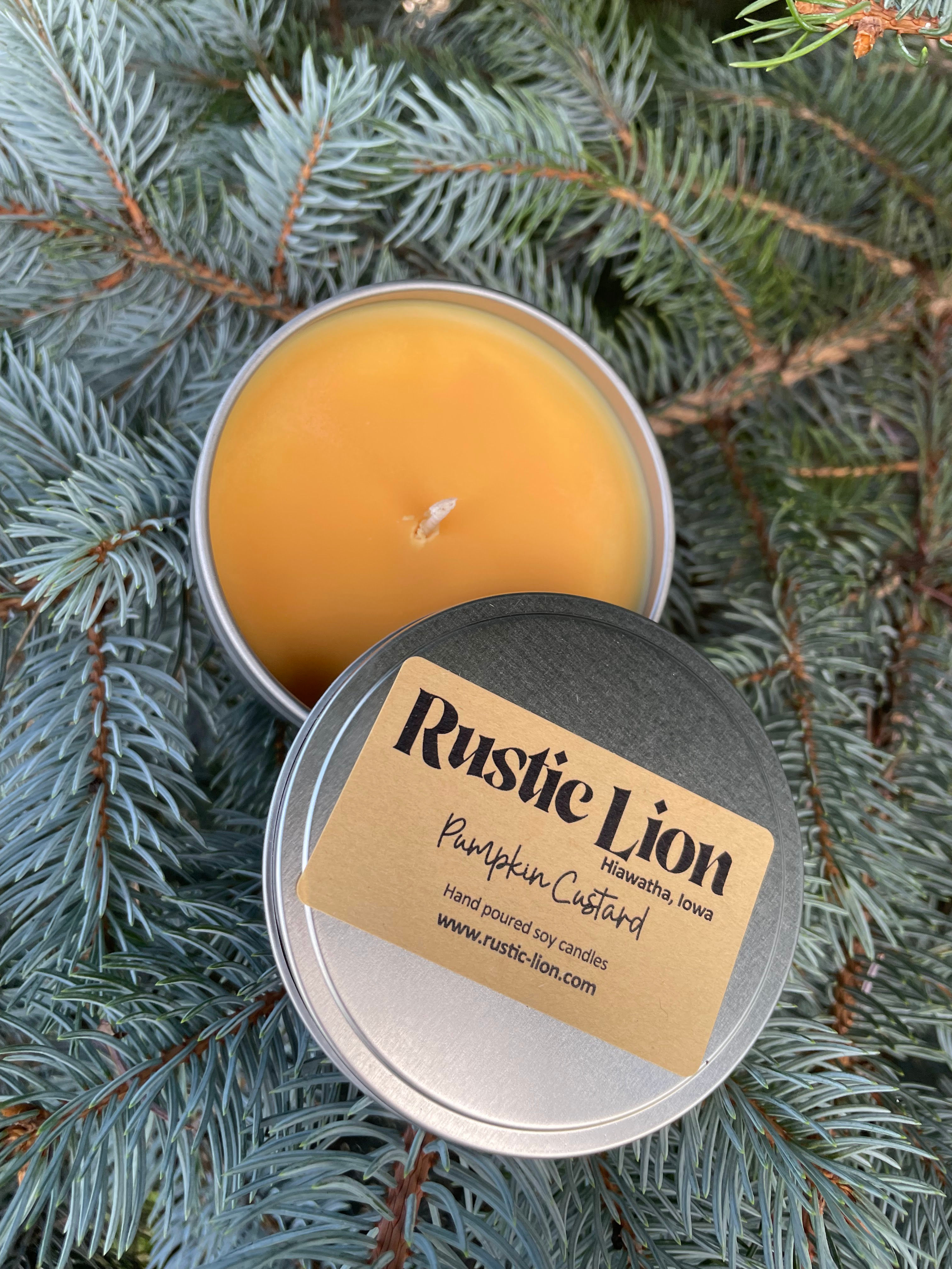 Pumpkin Custard