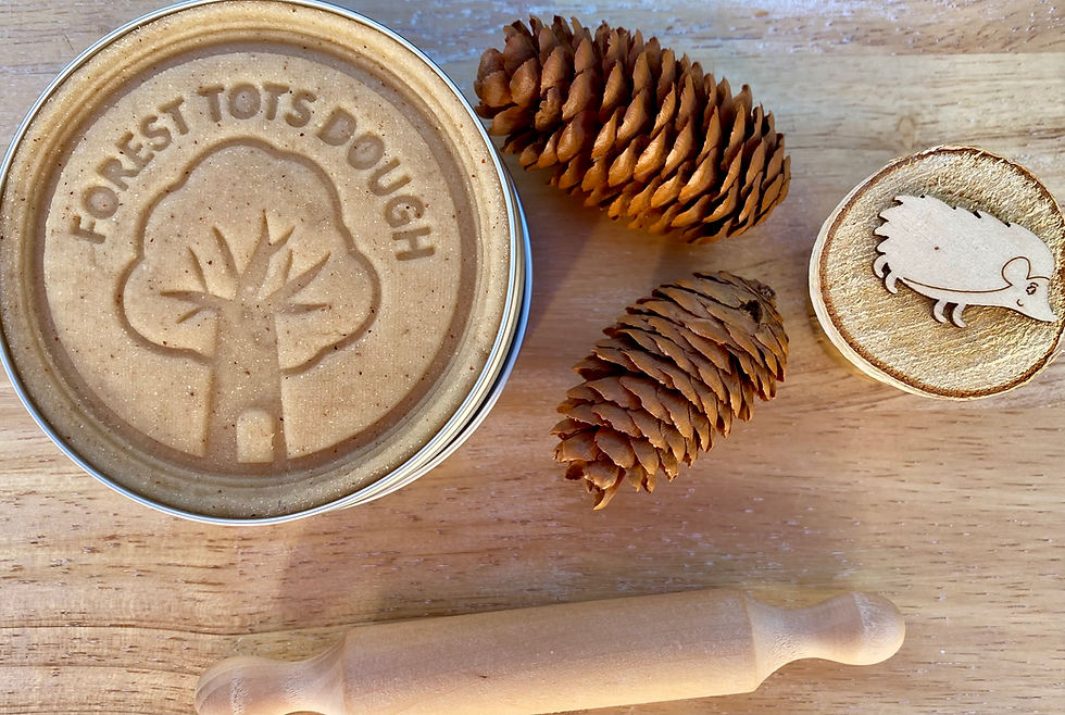 Thumbnail: Nature Dough Kit -Cinnamon