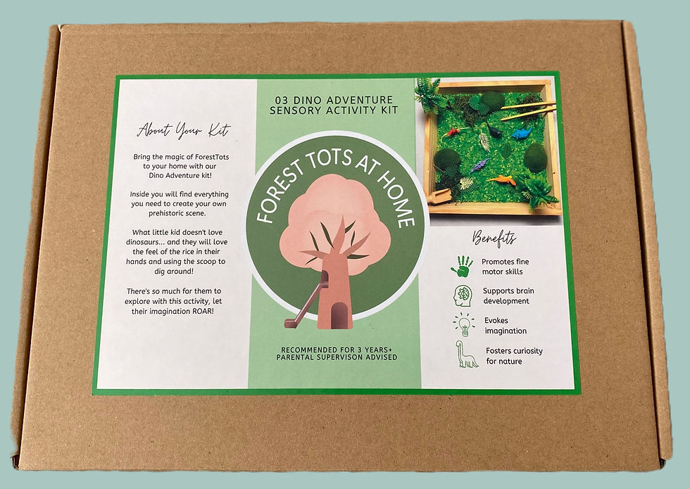 Thumbnail: Dino Adventure: Sensory Play Kit