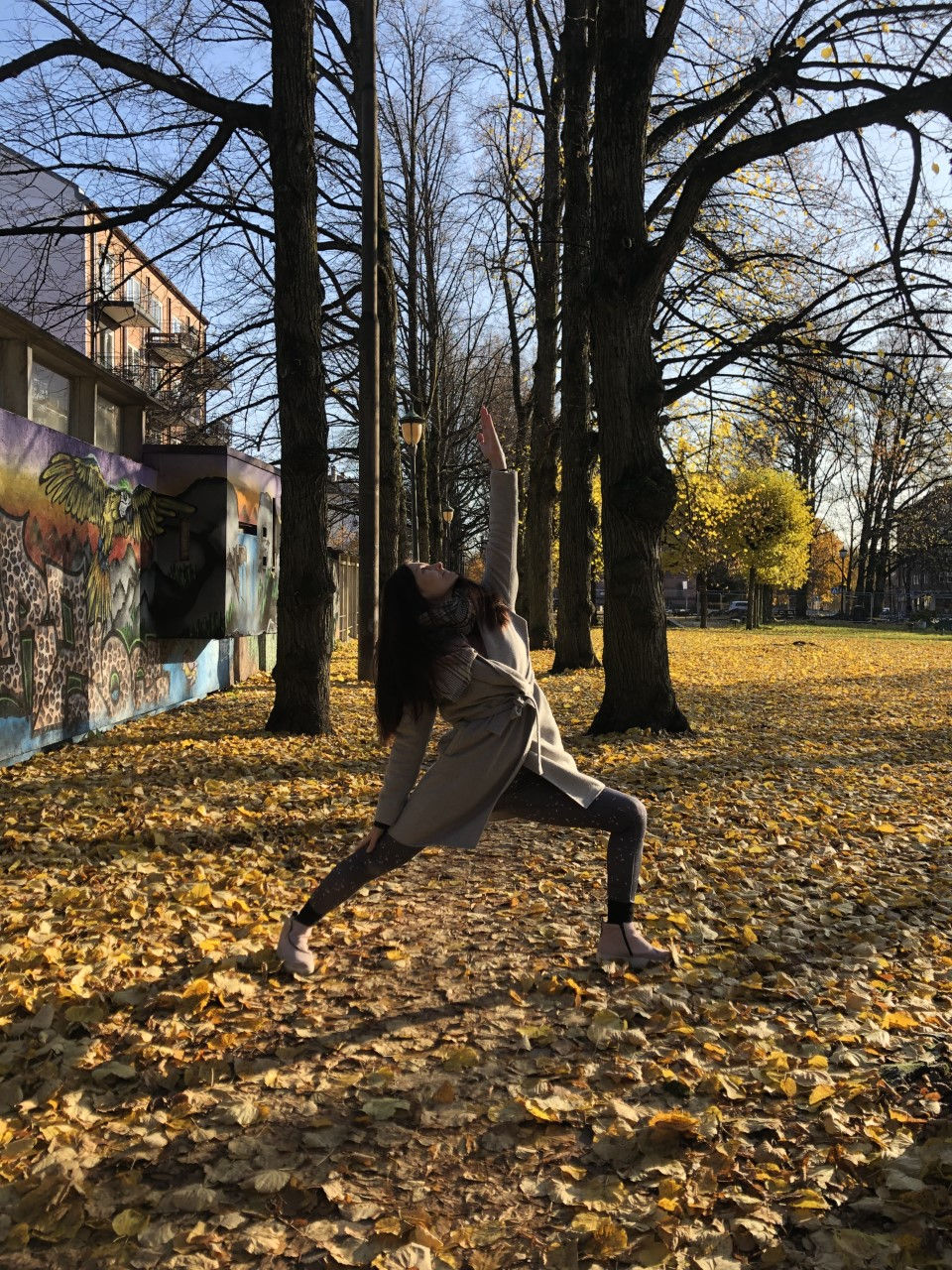 Miniatyrbilde: Klassisk Yoga & Pust. 8 ukers kurs.