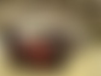 The all-new BMW X4 launched in India.