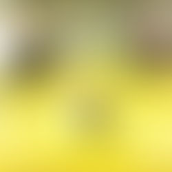 アツい季節到来。