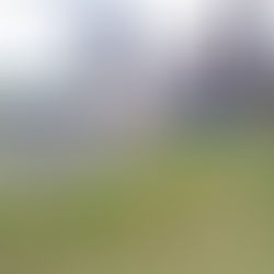 ２学期　はじまりー。