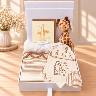 giraffe baby gift box_edited.jpg