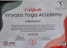 fully qualified yoga teacher