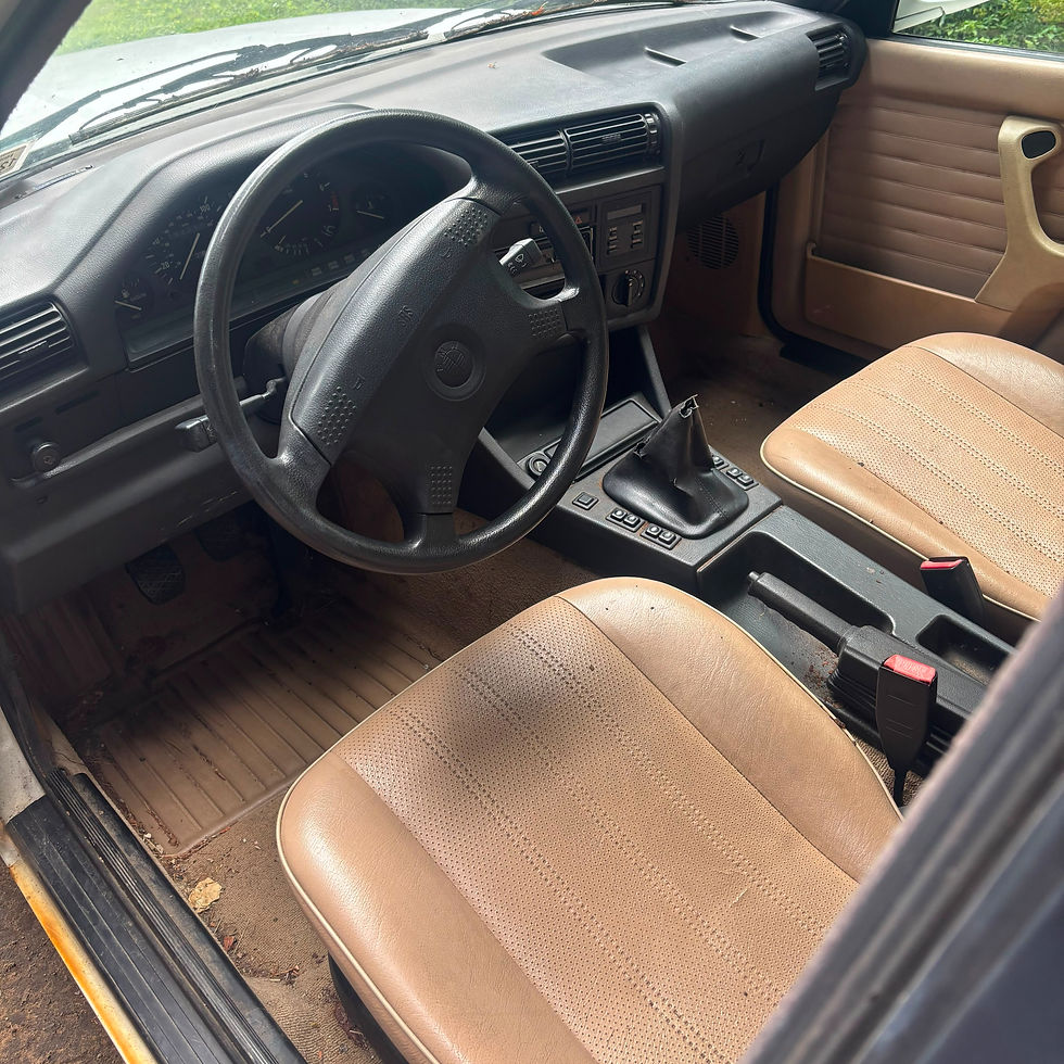 Beige comfort seats, uncut carpet, knee panels, dashboard, and interior trim available.