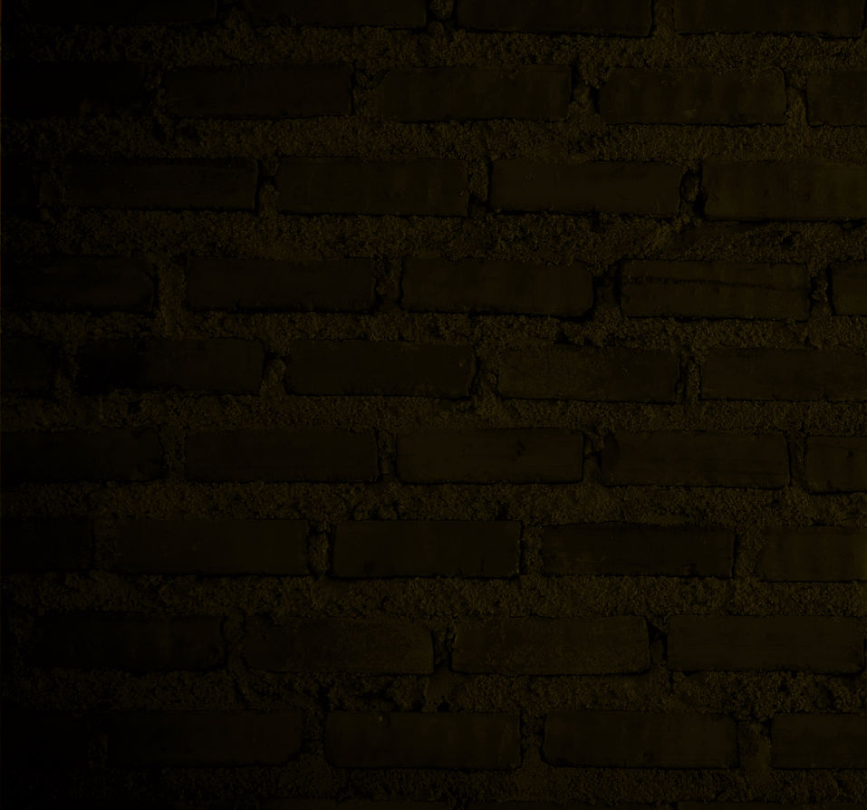 Website background (1)_edited_edited.jpg