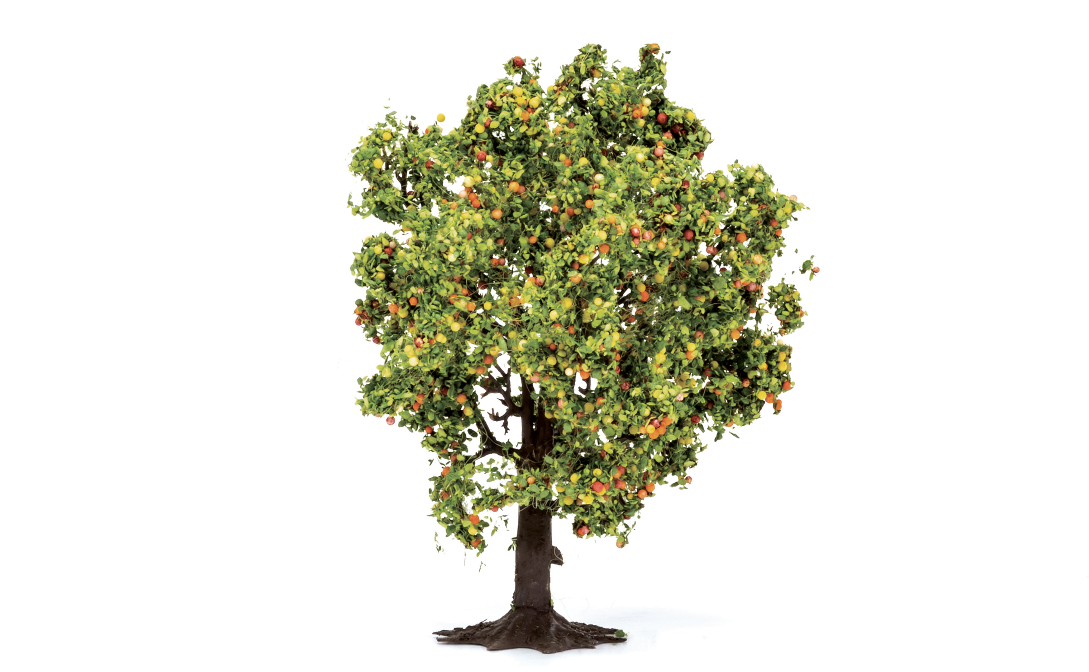 Apple Tree with Fruit