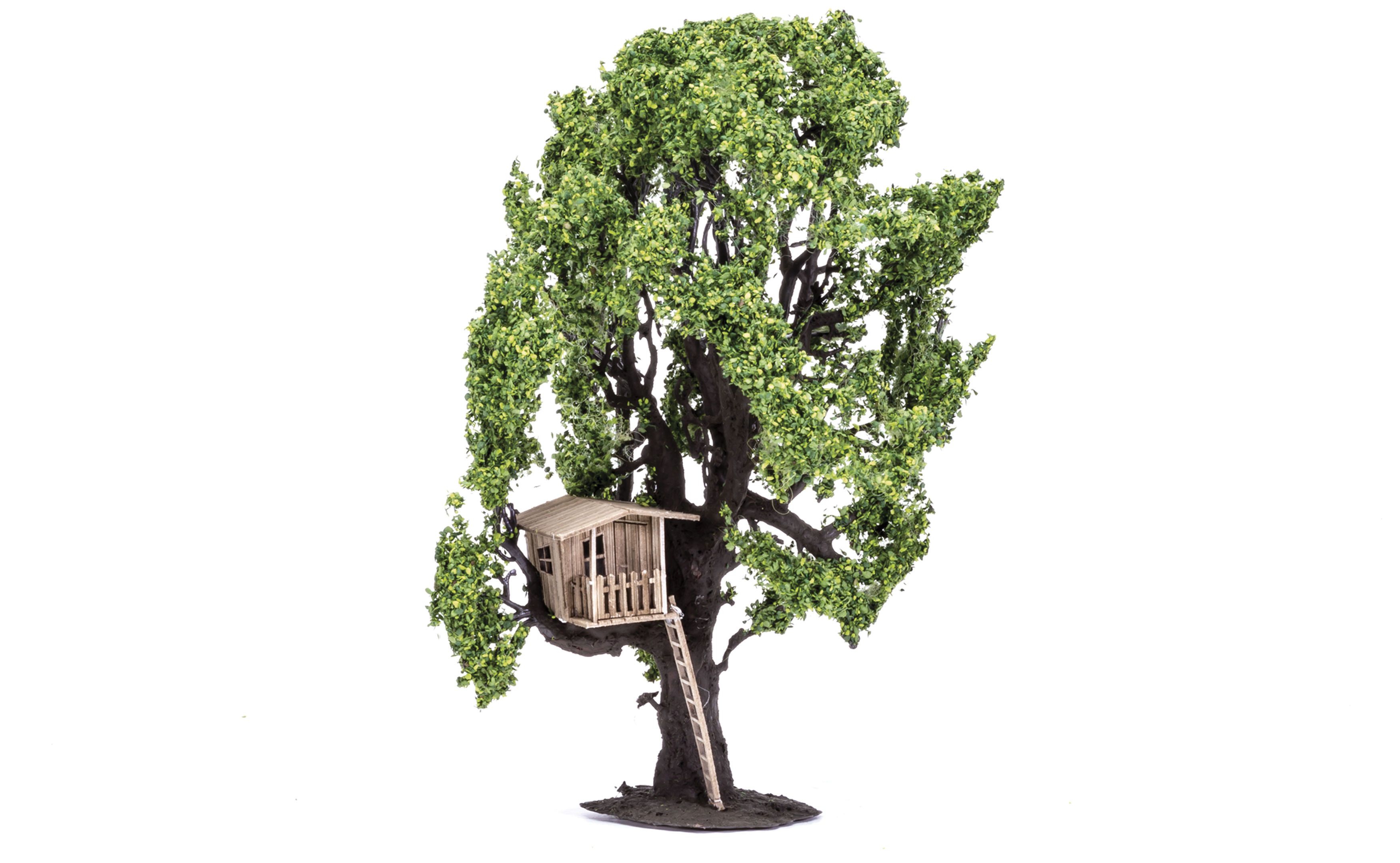 Tree with Tree House