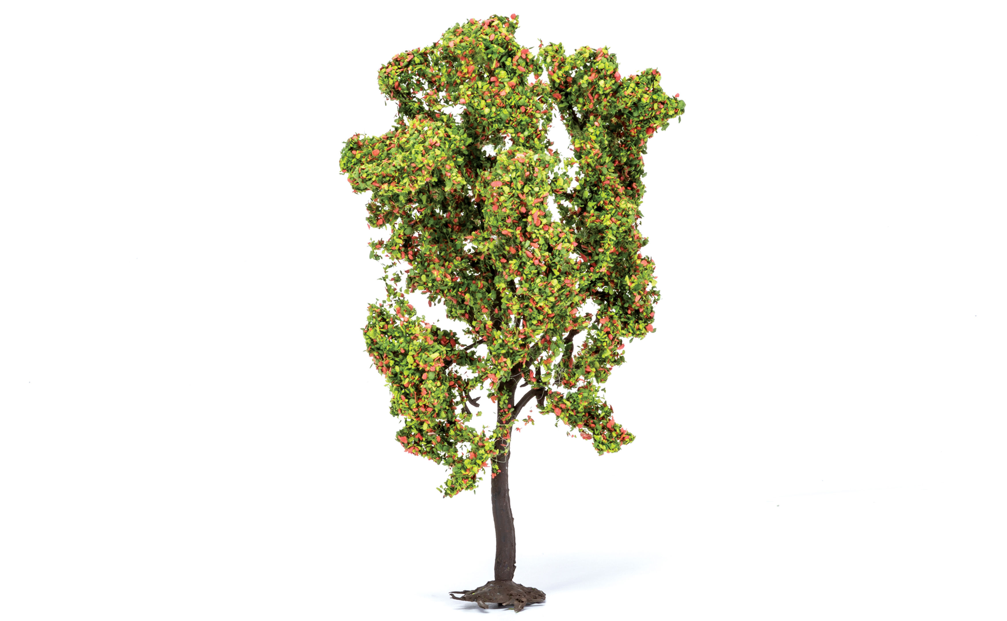 Rowan Tree with Berries
