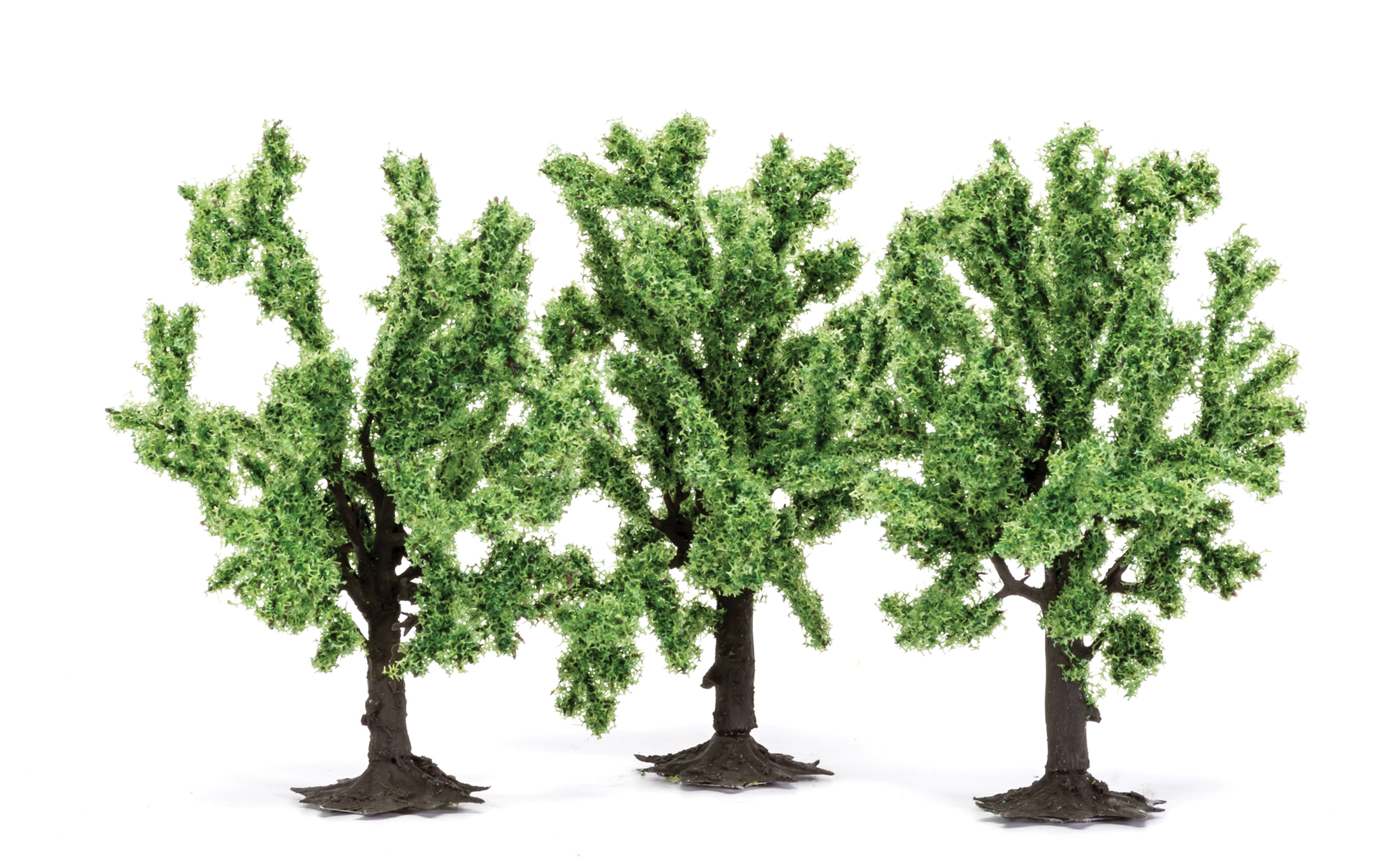 Fruit Trees