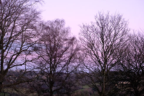 DSCF2820.JPG
