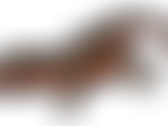 Minute