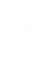 DreamTech’s development of IndeXX’s advanced data analytics and indexing system. Web3