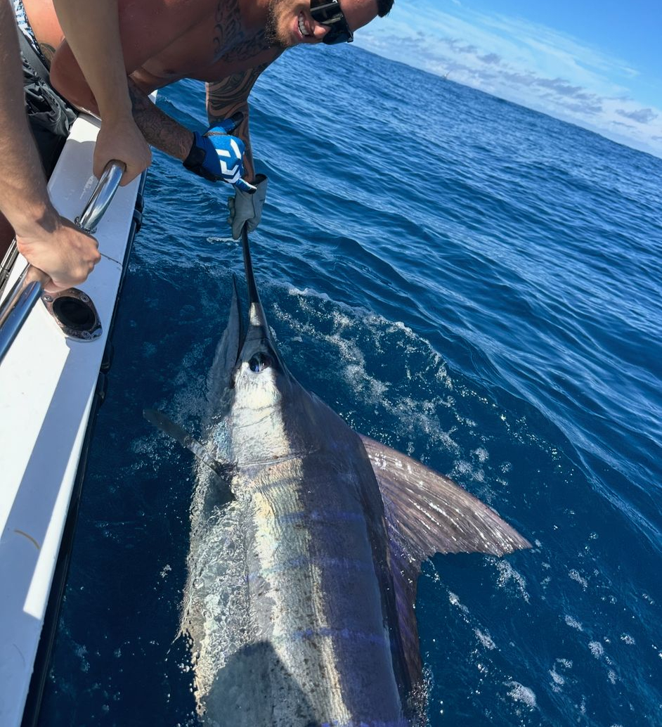 Reef fishing catch