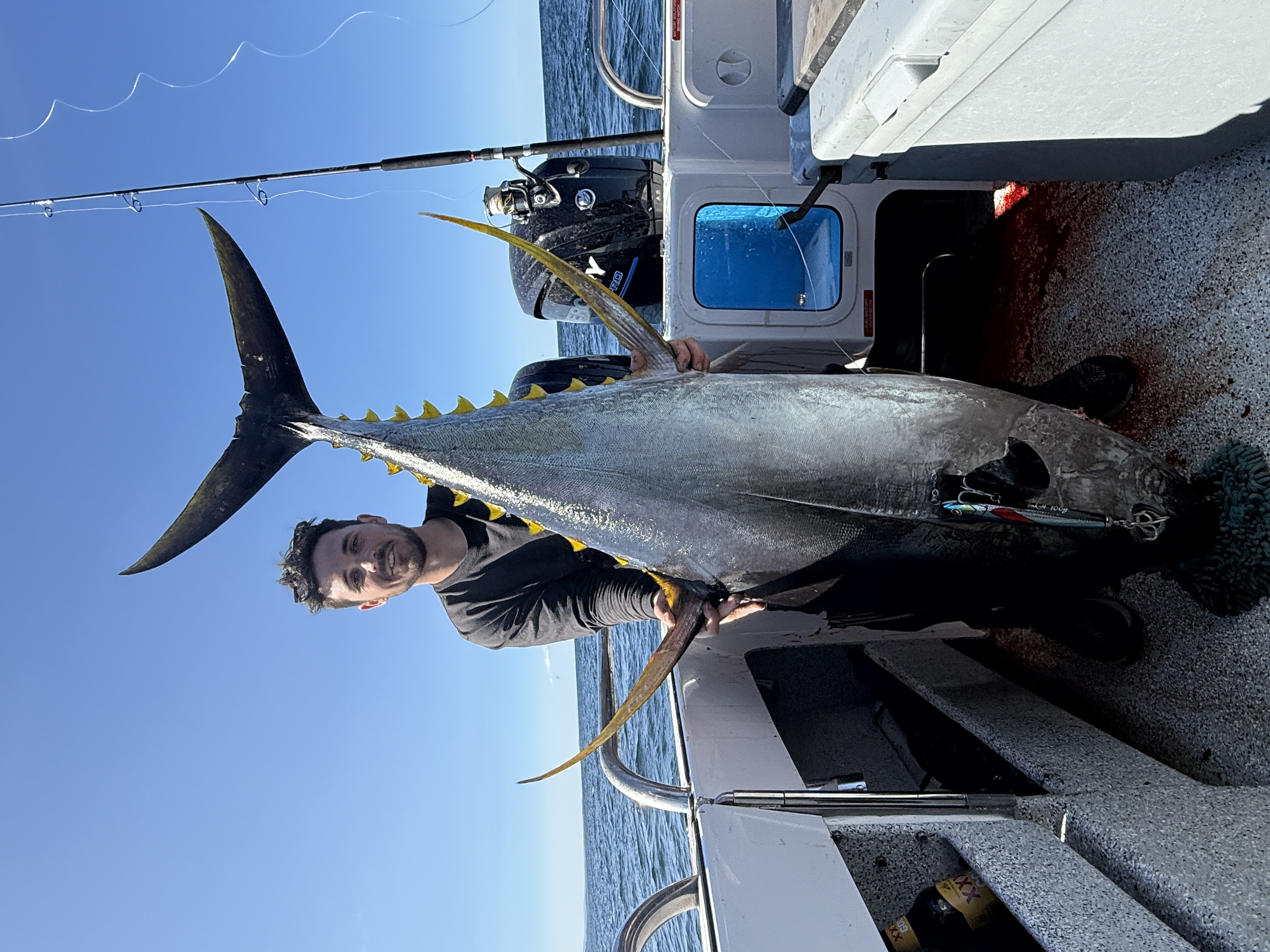 Sportfishing catch off Sydney