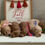 Thumbnail: F1b micro mini Goldendoodles (20-25lbs)