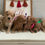 Thumbnail: F1b micro mini Goldendoodles (20-25lbs)