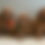Thumbnail: F1b mini Goldendoodle males (30-35 lbs)
