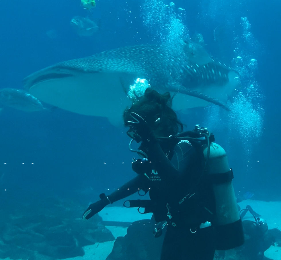 Scuba Schools International (SSI)