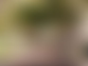 Most Affordable Neighborhoods Near CSULB for Students