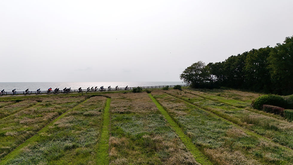 Deelnemers aan de Fietselfdstedentocht komen voorbij bij ons op de dijk, foto genomen vanaf ons weiland, wat een plaatje