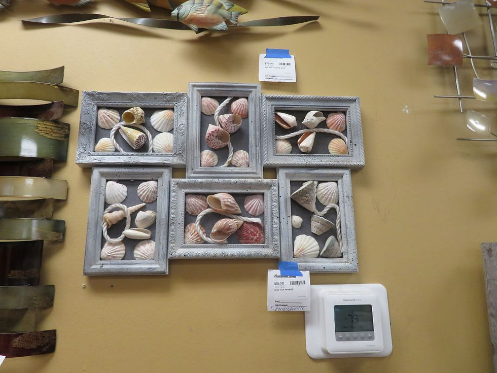 Framed Shells Wall art $15.00