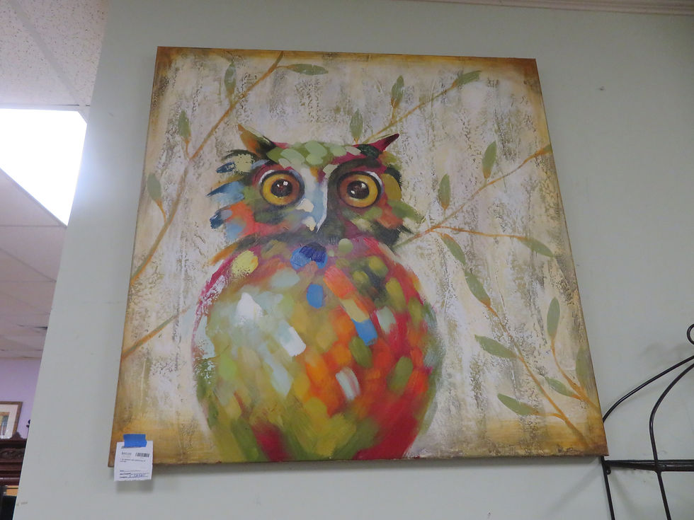 Large Owl canvas $60.00
